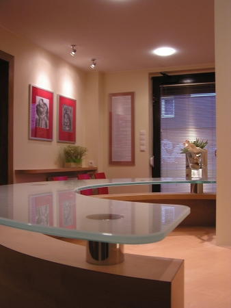 Meblo-Maxprojekt recepcja